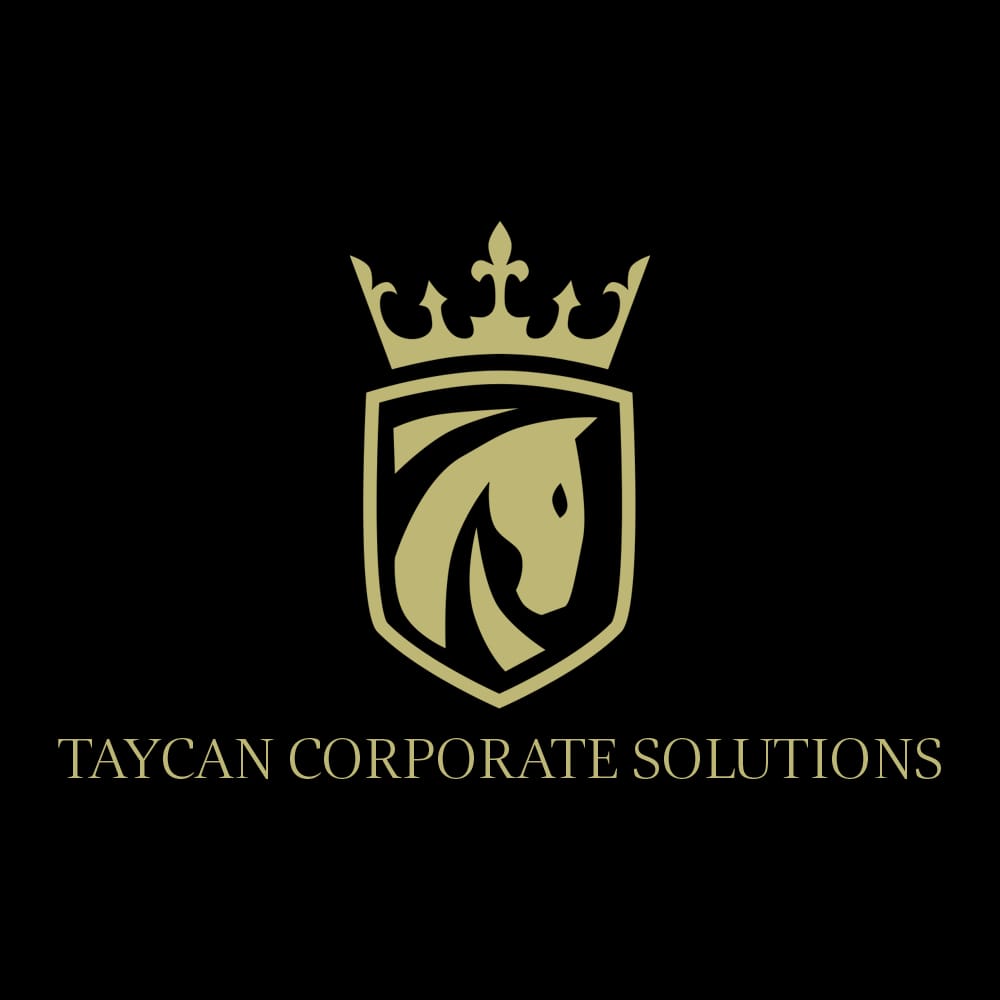 Taycan Consulting